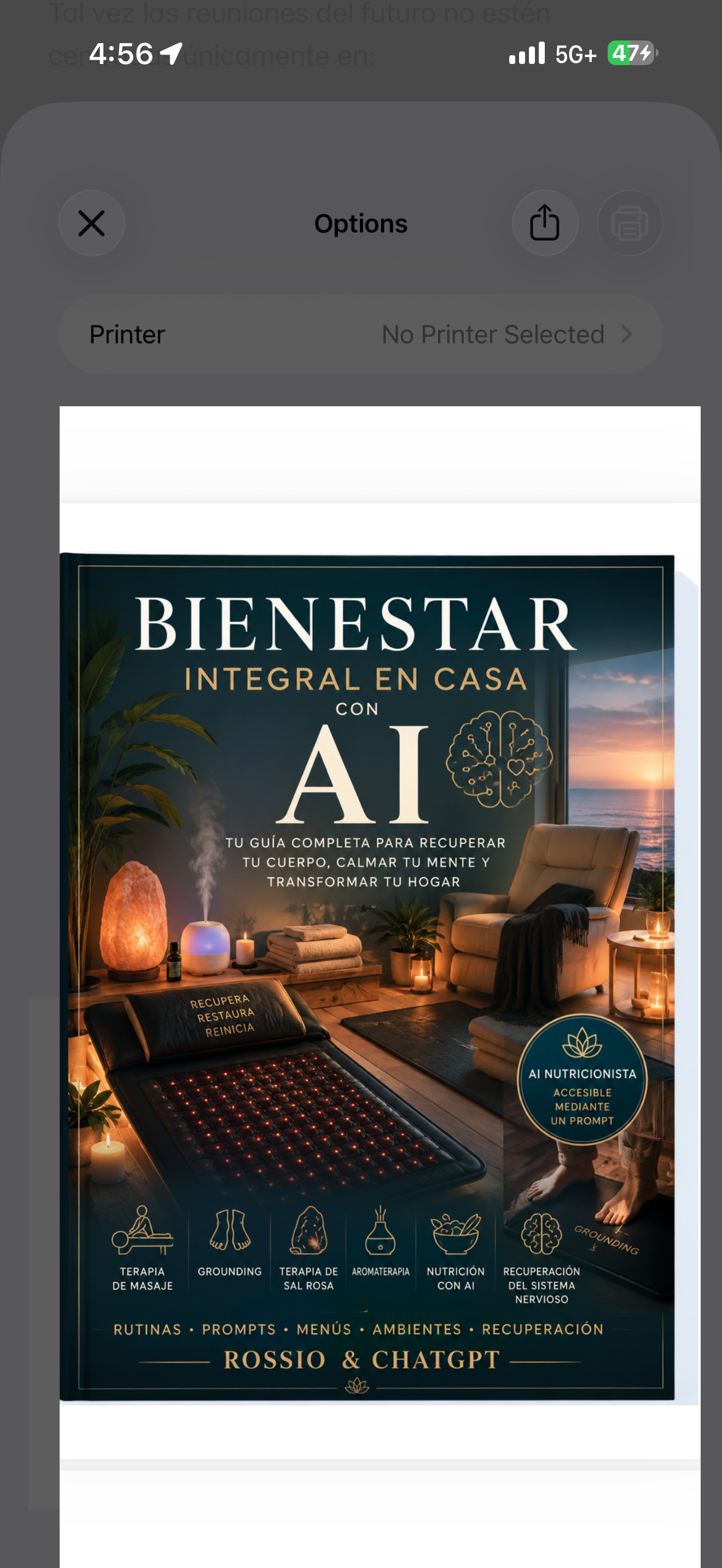 BIENESTAR INTEGRAL EN CASA CON AI